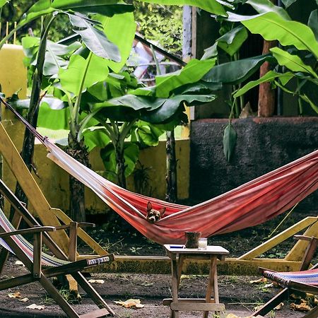 Hostel Life Is Good โมโยกัลปา ภายนอก รูปภาพ