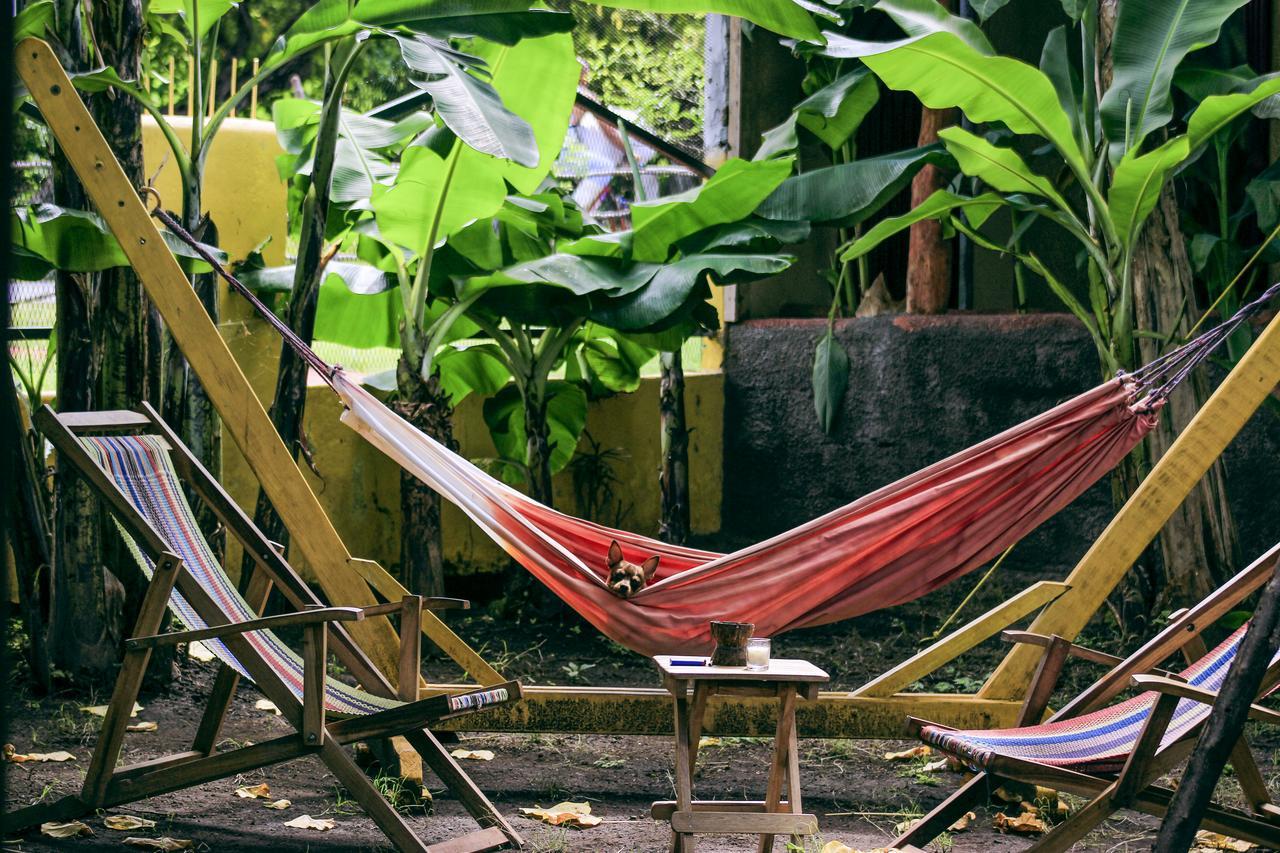 Hostel Life Is Good โมโยกัลปา ภายนอก รูปภาพ